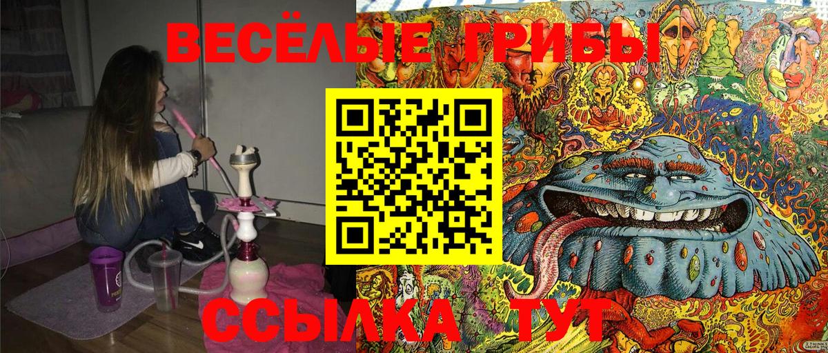 Галлюциногенные грибы Psilocybine cubensis  сколько стоит  Псилоцибиновые грибы Magic Shrooms  Красный Сулин  Вход с VPN 