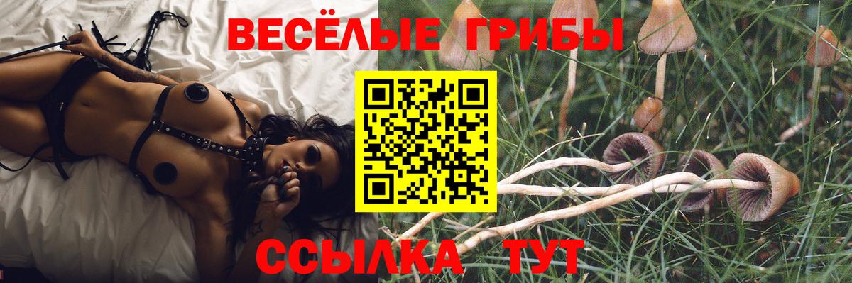 Галлюциногенные грибы Cubensis Красный Сулин